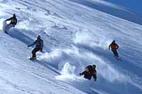 Image of Heli Skiers